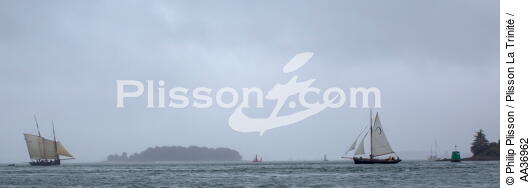 La Semaine du Golfe 2013 - © Philip Plisson / Plisson La Trinité / AA36962 - Photo Galleries - Traditional sailing