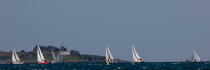 La Semaine du Golfe 2013 © Philip Plisson / Plisson La Trinité / AA36964 - Nos reportages photos - Panoramique horizontal