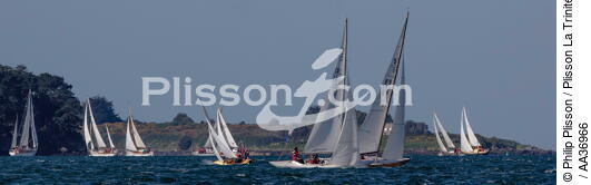 La Semaine du Golfe 2013 - © Philip Plisson / Plisson La Trinité / AA36966 - Photo Galleries - Sailing boat