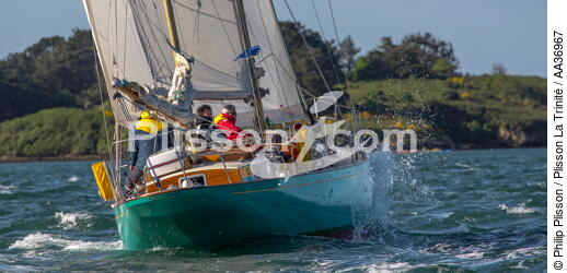 La Semaine du Golfe 2013 - © Philip Plisson / Plisson La Trinité / AA36967 - Photo Galleries - Traditional sailing