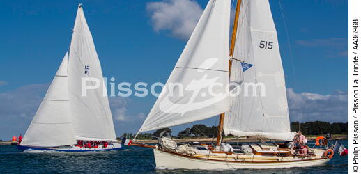 La Semaine du Golfe 2013 - © Philip Plisson / Plisson La Trinité / AA36968 - Nos reportages photos - Morbihan [Golfe du]