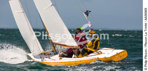La Semaine du Golfe 2013 - © Philip Plisson / Plisson La Trinité / AA36969 - Photo Galleries - Traditional sailing