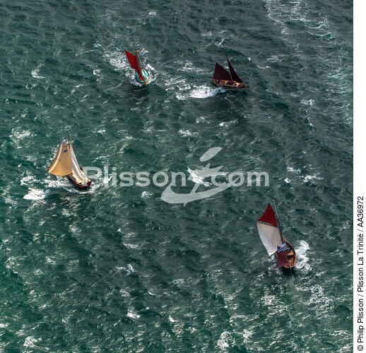 La Semaine du Golfe 2013 - © Philip Plisson / Plisson La Trinité / AA36972 - Photo Galleries - Traditional sailing