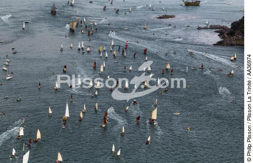 La Semaine du Golfe 2013 - © Philip Plisson / Plisson La Trinité / AA36974 - Nos reportages photos - Voile tradition