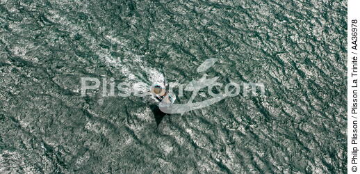 La Semaine du Golfe 2013 - © Philip Plisson / Plisson La Trinité / AA36978 - Nos reportages photos - Rassemblement