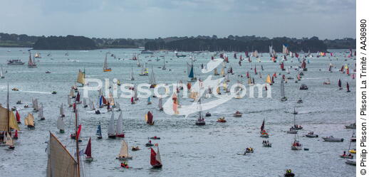 La Semaine du Golfe 2013 - © Philip Plisson / Plisson La Trinité / AA36980 - Nos reportages photos - Morbihan [Golfe du]