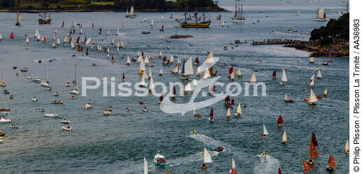La Semaine du Golfe 2013 - © Philip Plisson / Plisson La Trinité / AA36983 - Photo Galleries - Traditional sailing