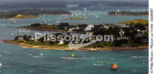 La Semaine du Golfe 2013 - © Philip Plisson / Plisson La Trinité / AA36987 - Nos reportages photos - Morbihan