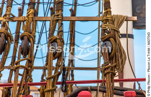 La pose de la mâture de l'Hermione à rochefort - © Philip Plisson / Plisson La Trinité / AA37043 - Nos reportages photos - Vieux gréement