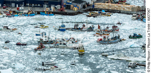 Fin d'été sur la côte ouest du Groenland - © Philip Plisson / Plisson La Trinité / AA37067 - Nos reportages photos - Port