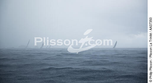 Les Voiles de Saint-Barth 2014 - © Philip Plisson / Plisson La Trinité / AA37350 - Nos reportages photos - Terme marin