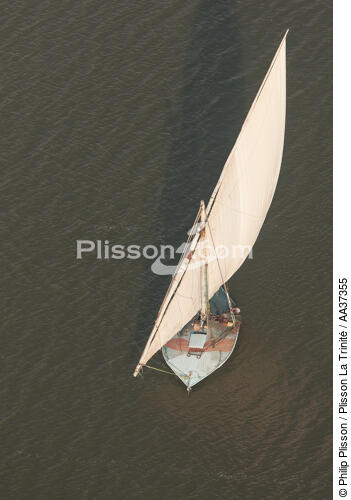 The Nil delta - Egypte - © Philip Plisson / Plisson La Trinité / AA37355 - Photo Galleries - Maritime activity
