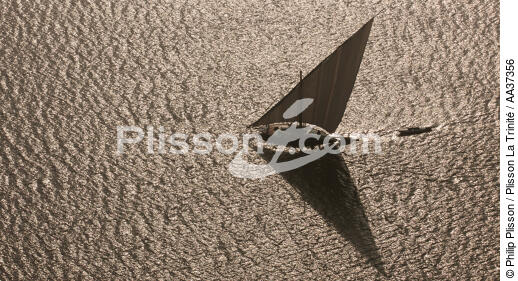 Le Delta du Nil - Egypte - © Philip Plisson / Plisson La Trinité / AA37356 - Nos reportages photos - Bateau de pêche