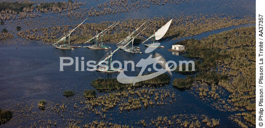 The Nil delta - Egypte - © Philip Plisson / Plisson La Trinité / AA37357 - Photo Galleries - Nile [The]