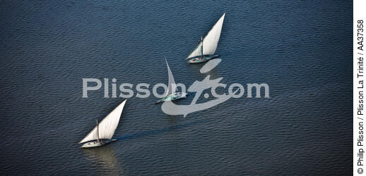 Le Delta du Nil - Egypte - © Philip Plisson / Plisson La Trinité / AA37358 - Nos reportages photos - Pêche