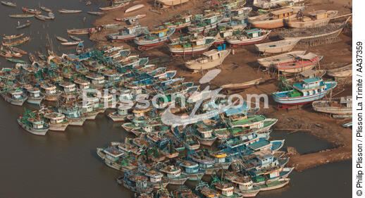 Le Delta du Nil - Egypte - © Philip Plisson / Plisson La Trinité / AA37359 - Nos reportages photos - Activité maritime