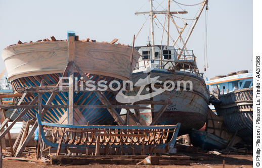 The Nil delta - Egypte - © Philip Plisson / Plisson La Trinité / AA37368 - Photo Galleries - Boat and shipbuilding