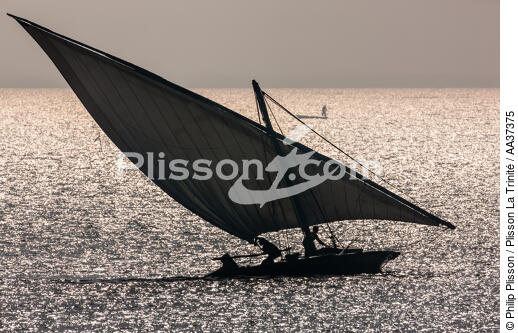 The Nil delta - Egypte - © Philip Plisson / Plisson La Trinité / AA37375 - Photo Galleries - Fishing vessel