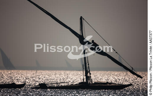 Le Delta du Nil - Egypte - © Philip Plisson / Plisson La Trinité / AA37377 - Nos reportages photos - Voilier