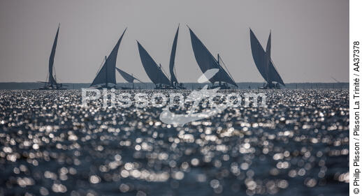 Le Delta du Nil - Egypte - © Philip Plisson / Plisson La Trinité / AA37378 - Nos reportages photos - Activité maritime