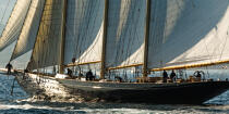 La Goélette "Atlantic" © Philip Plisson / Plisson La Trinité / AA37381 - Nos reportages photos - Yachting
