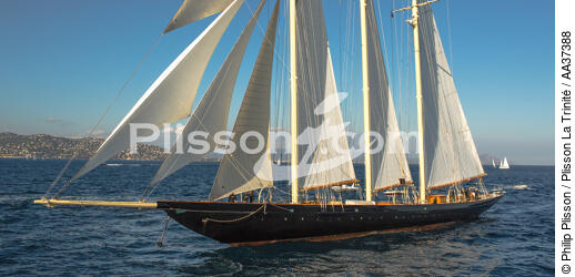 La Goélette "Atlantic" - © Philip Plisson / Plisson La Trinité / AA37388 - Nos reportages photos - Yachting