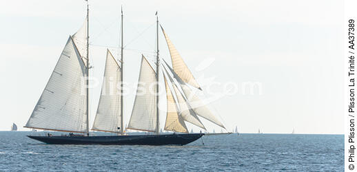 Atlantic sail Boat - © Philip Plisson / Plisson La Trinité / AA37389 - Photo Galleries - Schooner