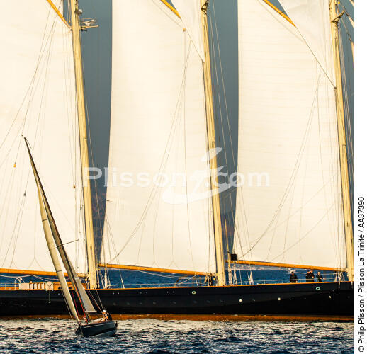 La Goélette Atlantic - © Philip Plisson / Plisson La Trinité / AA37390 - Nos reportages photos - Goélette [Yachting]
