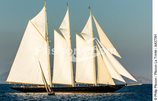 Atlantic sail Boat - © Philip Plisson / Plisson La Trinité / AA37391 - Photo Galleries - Schooner