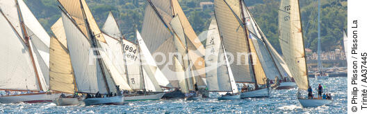Les Voiles de Saint -Tropez - © Philip Plisson / Plisson La Trinité / AA37445 - Photo Galleries - Sailing boat