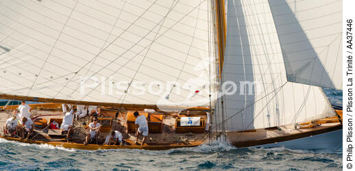 Les Voiles de Saint -Tropez - © Philip Plisson / Plisson La Trinité / AA37446 - Photo Galleries - Sailing boat