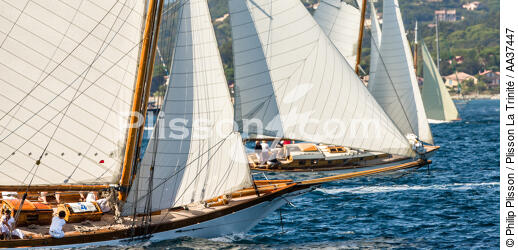 Les Voiles de Saint -Tropez - © Philip Plisson / Plisson La Trinité / AA37447 - Photo Galleries - Sailing boat