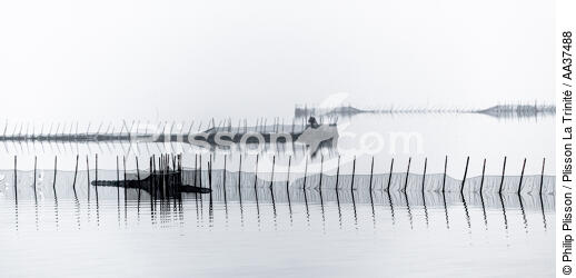 Fishing in the lagoon of Venice - © Philip Plisson / Plisson La Trinité / AA37488 - Photo Galleries - Canaval of Venice