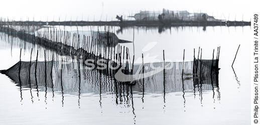 Fishing in the lagoon of Venice - © Philip Plisson / Plisson La Trinité / AA37489 - Photo Galleries - Environment