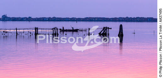La lagune de Venise - © Philip Plisson / Plisson La Trinité / AA37495 - Nos reportages photos - Pêche
