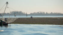 La pêche dans la lagune de Venise © Philip Plisson / Plisson La Trinité / AA37687 - Nos reportages photos - Italie