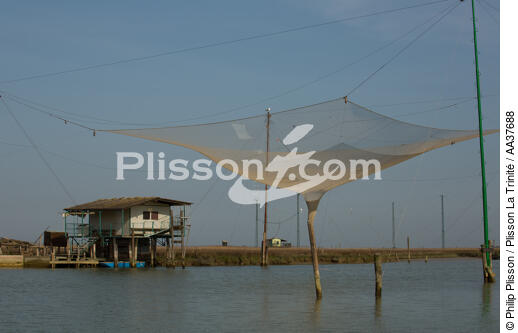 La pêche dans la lagune de Venise - © Philip Plisson / Plisson La Trinité / AA37688 - Nos reportages photos - Pêche
