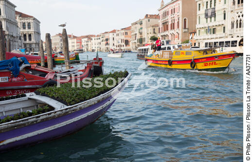 Venice - © Philip Plisson / Plisson La Trinité / AA37731 - Photo Galleries - Town [It]