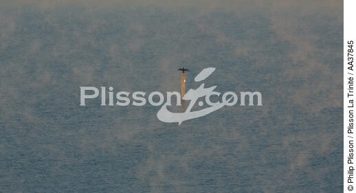 Paquebot - © Philip Plisson / Plisson La Trinité / AA37845 - Nos reportages photos - Horizontal
