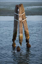 Dans la lagune de venise © Philip Plisson / Plisson La Trinité / AA37868 - Nos reportages photos - Lagune de Venise