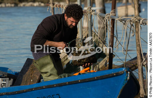Fishing in the lagoon of Venice [AT] - © Philip Plisson / Plisson La Trinité / AA37870 - Photo Galleries - Venetian lagoon