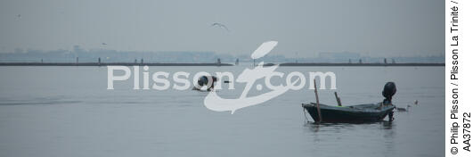 La pêche dans la lagune de Venise - © Philip Plisson / Plisson La Trinité / AA37872 - Nos reportages photos - Pêche