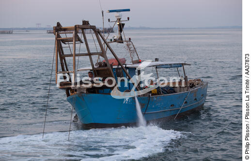 La conchyliculture dans la lagune de Venise - © Philip Plisson / Plisson La Trinité / AA37873 - Nos reportages photos - Pêche