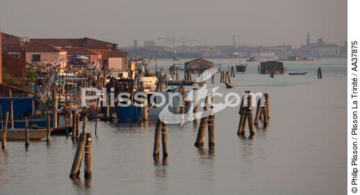 L'activité conchylicole dans la lagune de Venise - © Philip Plisson / Plisson La Trinité / AA37875 - Nos reportages photos - Italie