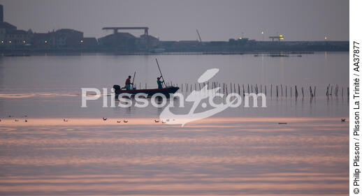 L'activité conchylicole dans la lagune de Venise - © Philip Plisson / Plisson La Trinité / AA37877 - Nos reportages photos - La Lagune de Venise