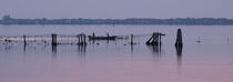 L'activité conchylicole dans la lagune de Venise © Philip Plisson / Plisson La Trinité / AA37893 - Nos reportages photos - Site [It]