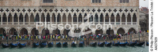 Acqua alta à Venise - © Philip Plisson / Plisson La Trinité / AA37929 - Nos reportages photos - Venise