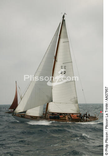 Oiseau de feu - © Philip Plisson / Plisson La Trinité / AA37957 - Photo Galleries - Sailing boat