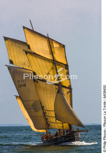 La semaine du Golfe 2015 - © Philip Plisson / Plisson La Trinité / AA38450 - Photo Galleries - Sailing boat