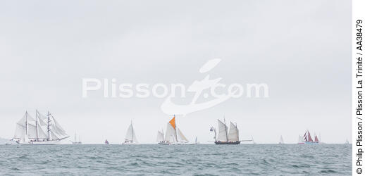 La semaine du Golfe 2015 - © Philip Plisson / Plisson La Trinité / AA38479 - Photo Galleries - Traditional sailing